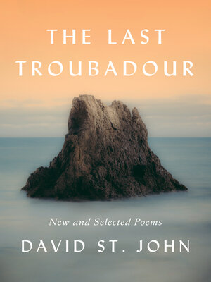 cover image of The Last Troubadour